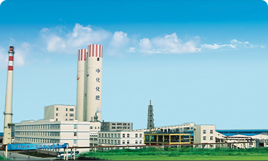 肥业-中化山东肥业